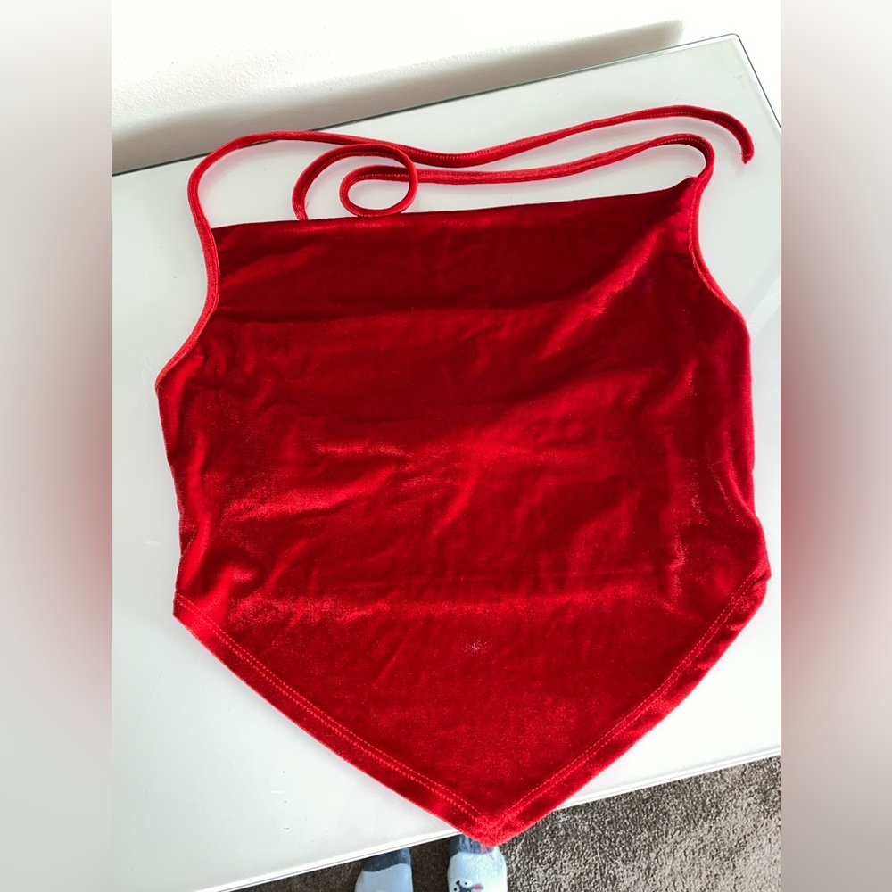 Red Velvet Top - Picture 4 of 4